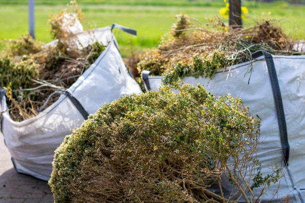Best Trash Removal Near Me  in Baltic, SD